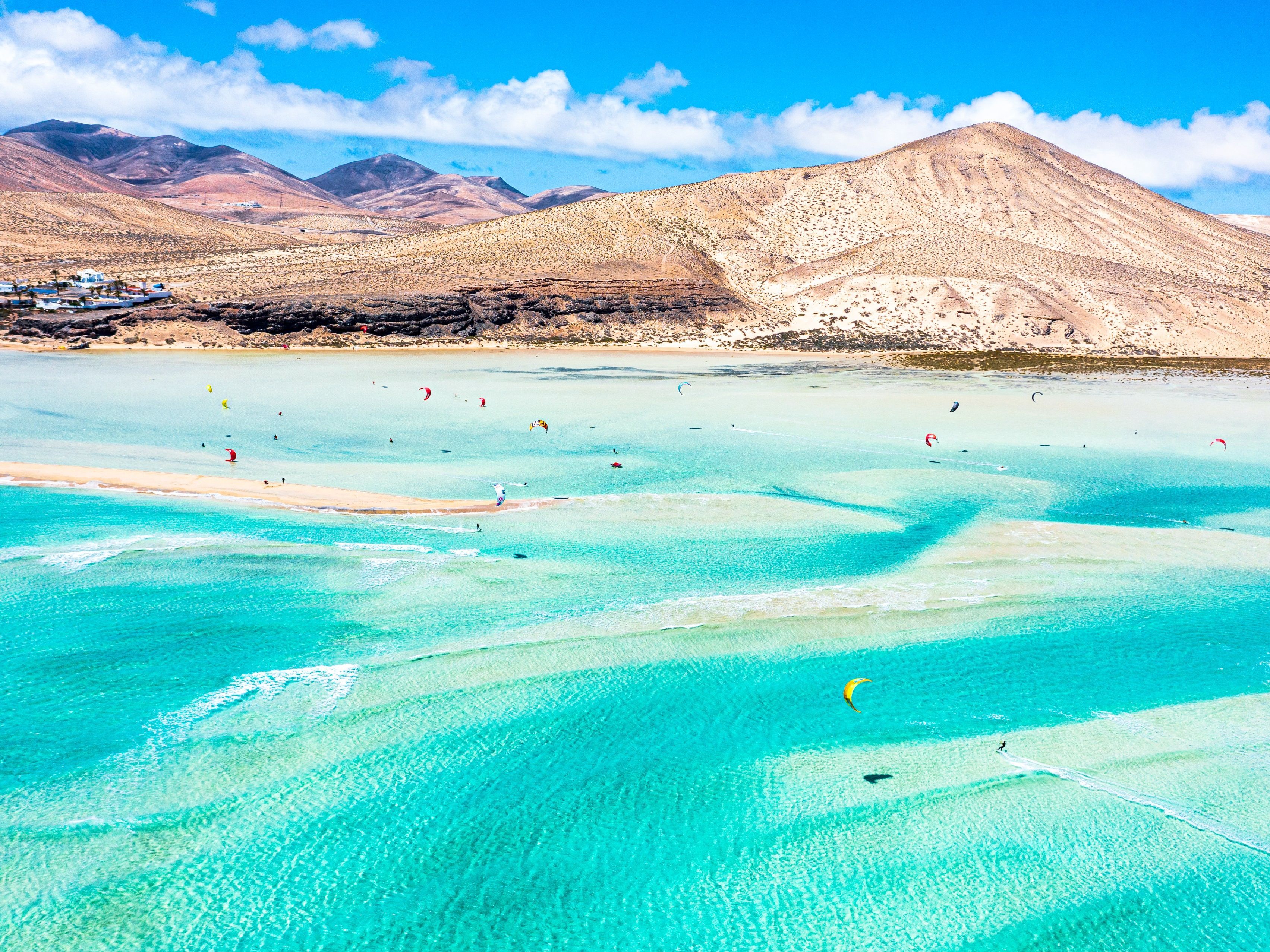 10 дней, один билет